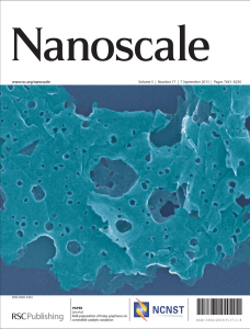Nanoscale2